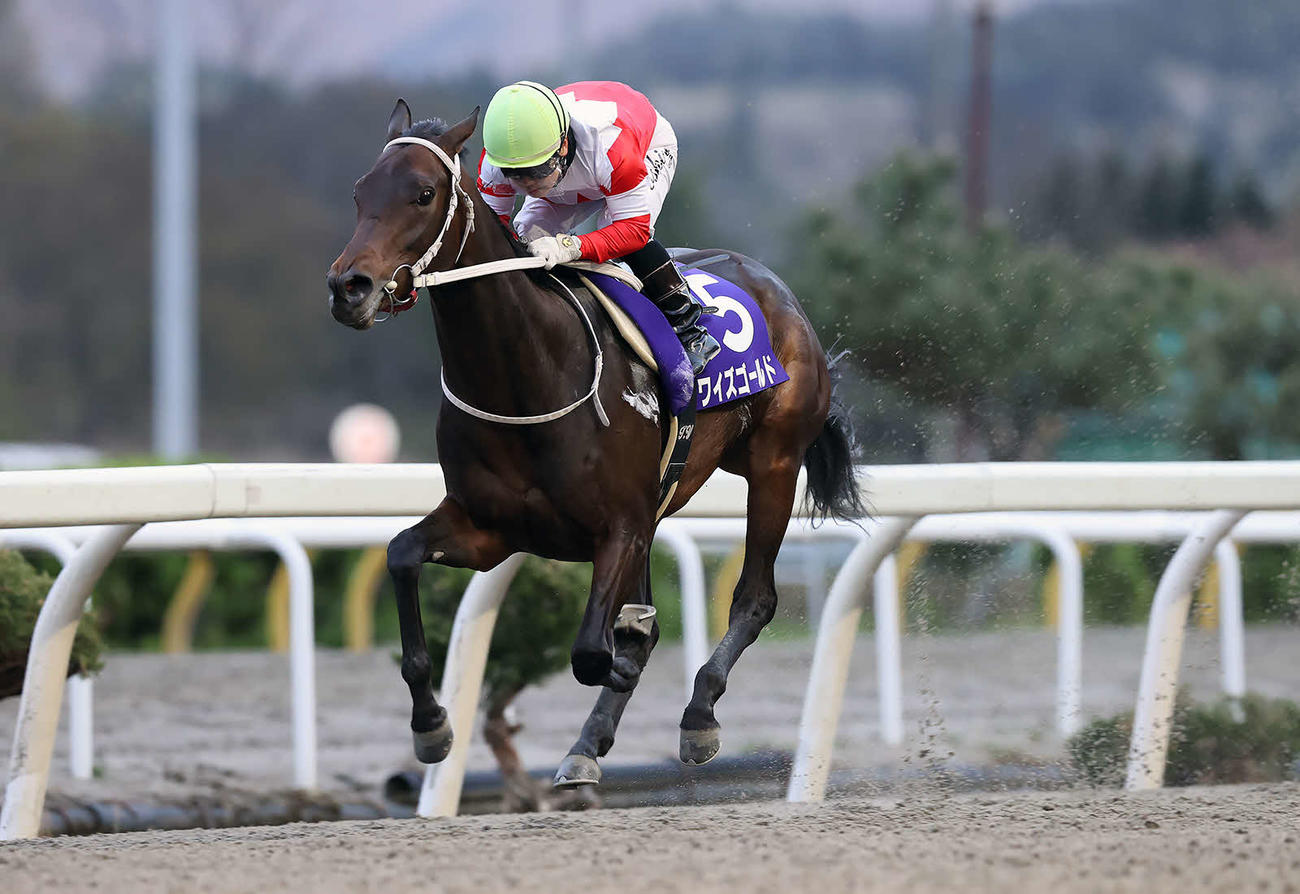逃げ切りで留守杯日高賞を制したワイズゴールドと山本聡哉騎手（岩手県競馬組合提供）
