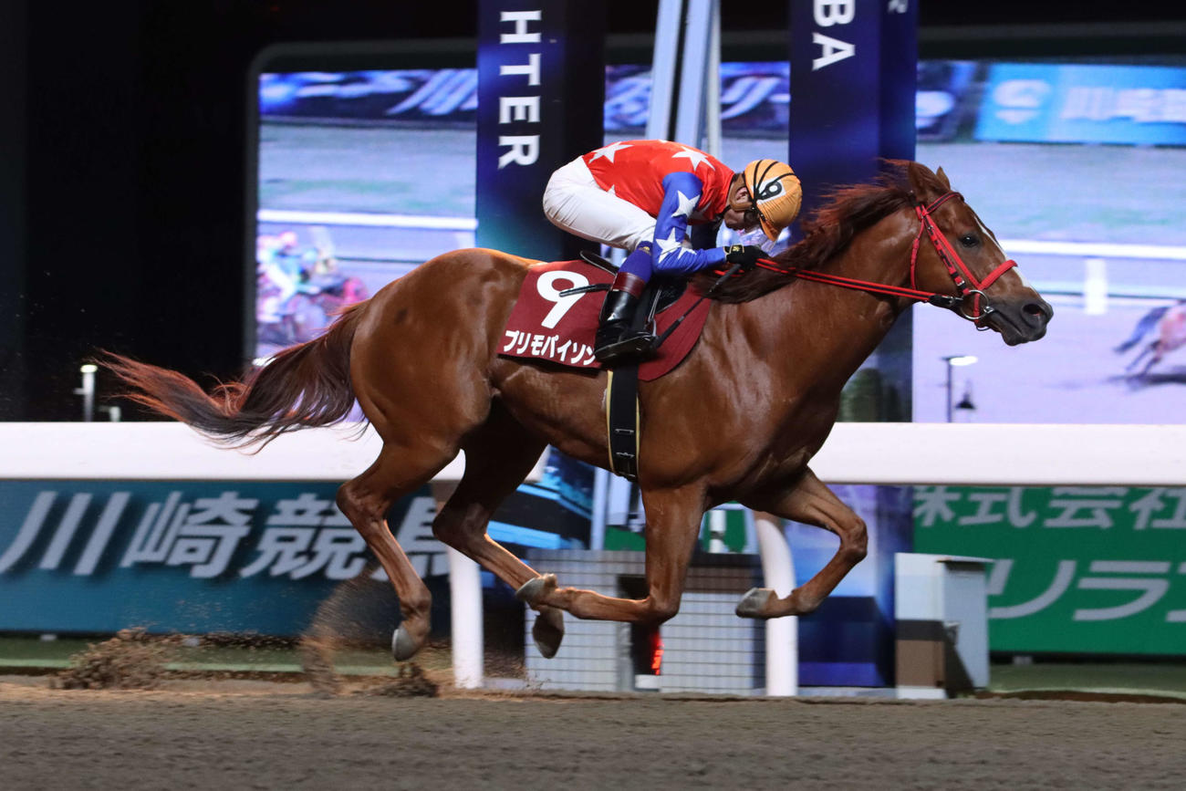 16日のスパーキングスプリントチャレンジを制したプリモパイソンと御神本訓史騎手
