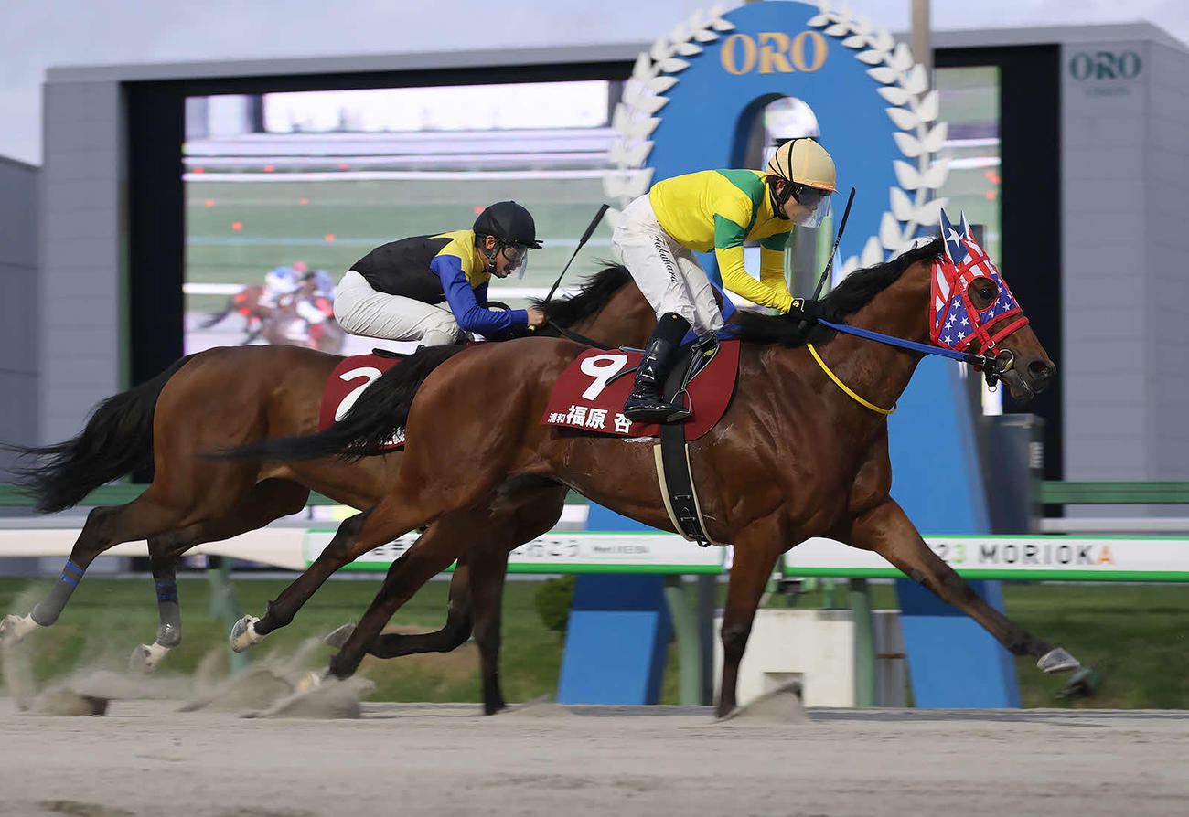 第2戦を制した浦和の福原杏騎手とプリンスチャーム（岩手県競馬組合提供）