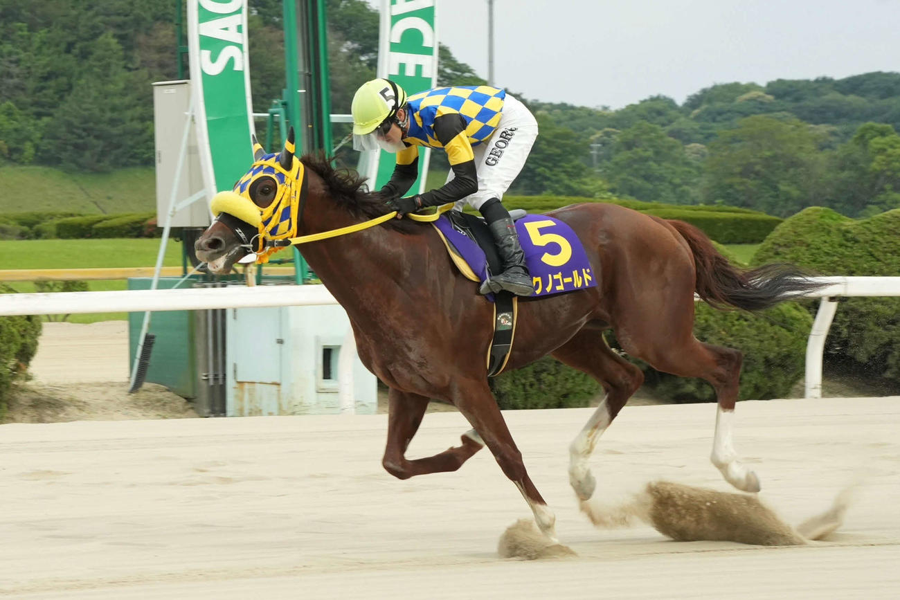 テクノゴールドと和田譲治騎手（佐賀県競馬組合提供）