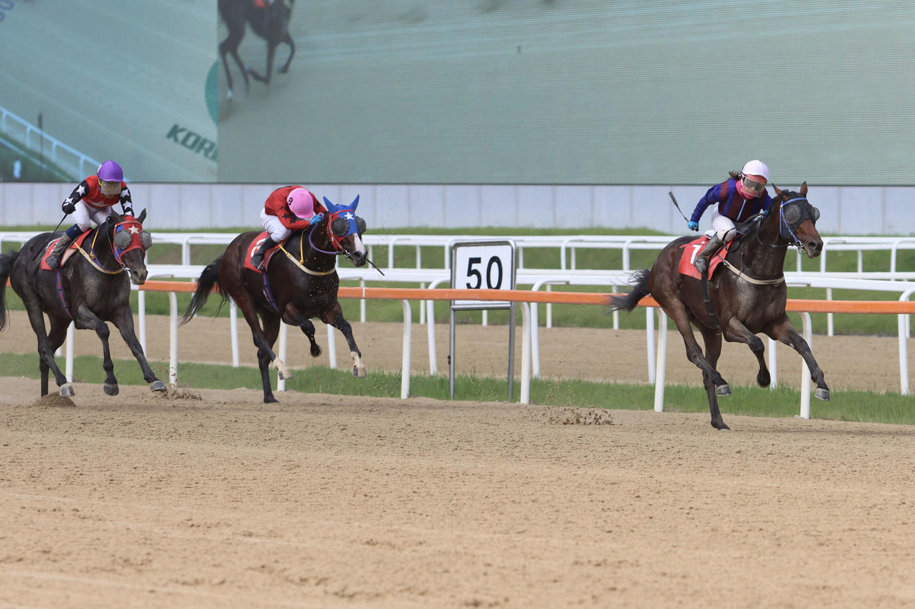 内から抜け出したグローバルヒット（右）がナオルスナイパー（左）に3馬身差の快勝で韓国ダービーを制覇