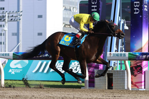 4馬身差でデビュー戦を制したシナノスマイルと町田直希騎手