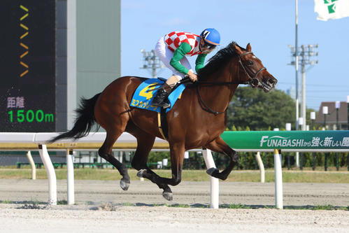 2着に大差の圧勝でデビュー戦を制したミスカッレーラと矢野貴之騎手