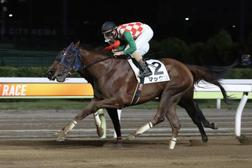 アフター5スター賞トライアルを制したマックスと矢野貴之騎手
