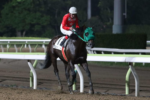 8月14日、大井サマーナイト賞を制して引き揚げてきたウェイキーと的場文男騎手