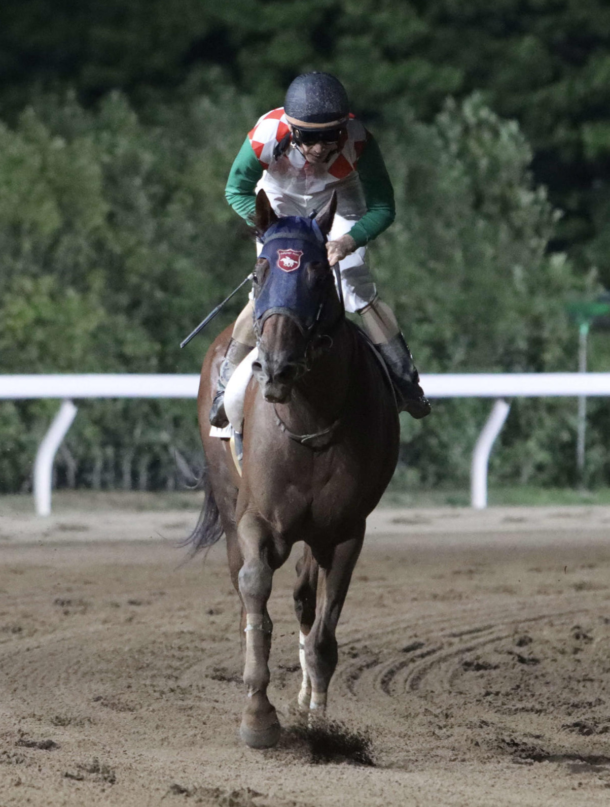 前走トライアルを制したマックスと矢野貴之騎手