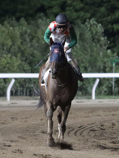 前走トライアルを制したマックスと矢野貴之騎手