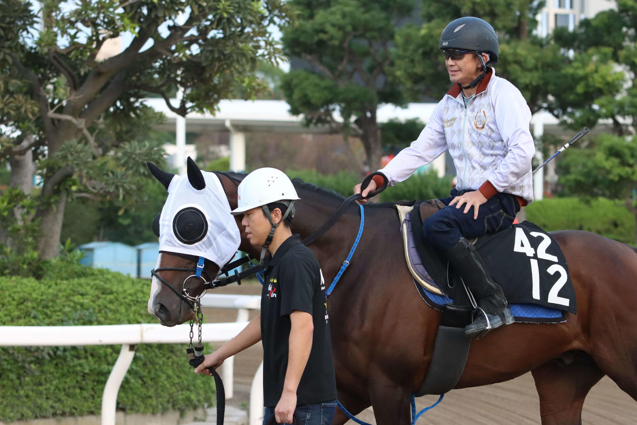 26日、担当の高橋敦樹厩務員に引かれダービーグランプリの最終追い切りに向かうミックファイアと鞍上の三野宮勇補佐
