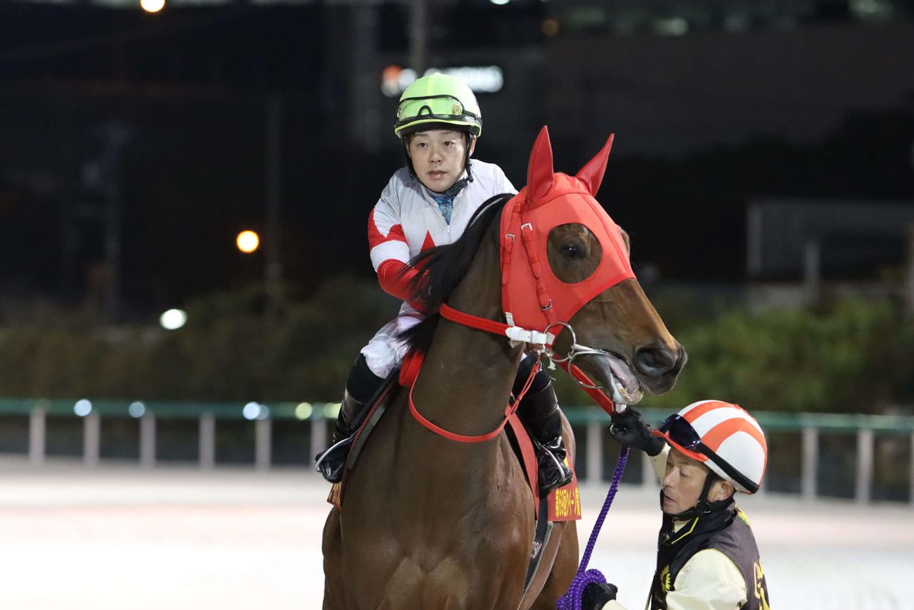 本馬場に入場するゴールデンヒーラーと山本聡哉騎手