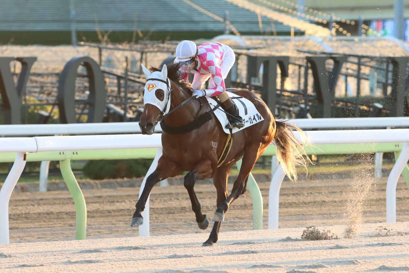 4日、大井4Rを7馬身差の逃げ切りで新馬戦を制したピコアーガイルと矢野貴之騎手