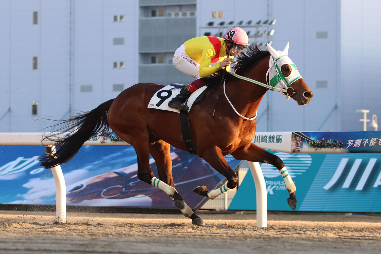 1月31日、多摩川オープンを制したアランバローズと笹川翼騎手