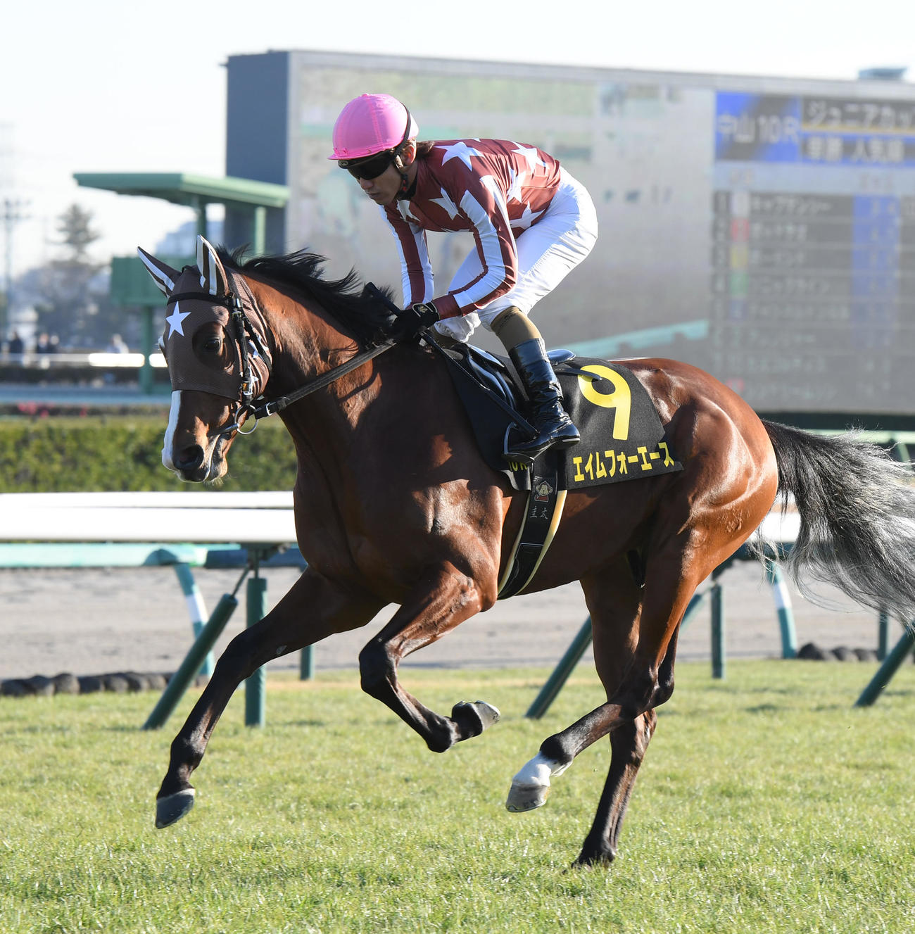 エイムフォーエースと本田正重騎手