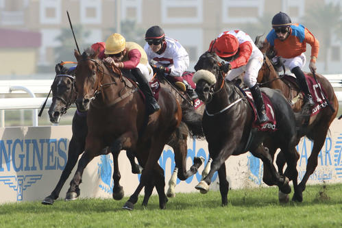 5Rアミールシャルファ　10着に敗れたカドヴァルと笹川翼騎手（中央）