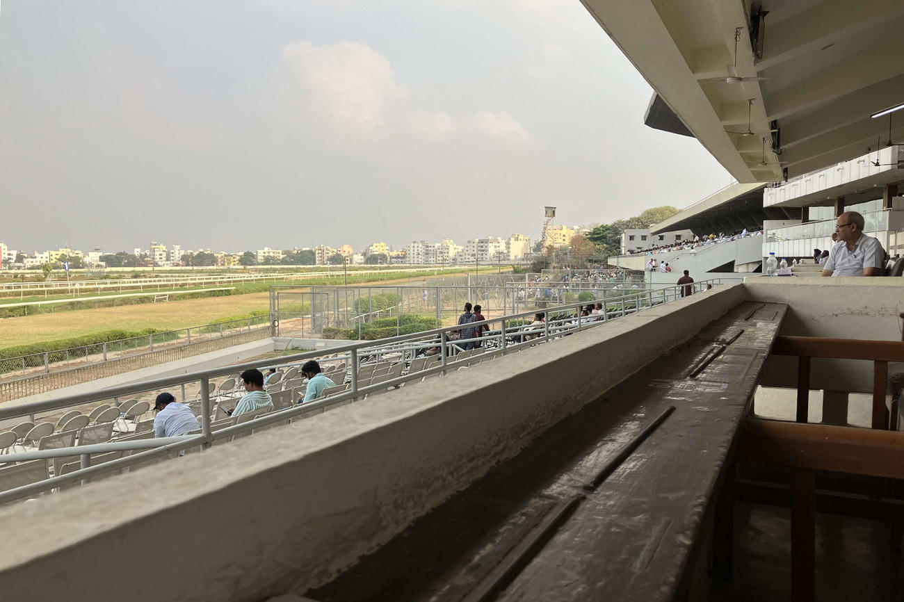 ハイデラバード競馬場のメンバースタンドから4コーナーを望む。奥のグランドスタンドには大勢のファン