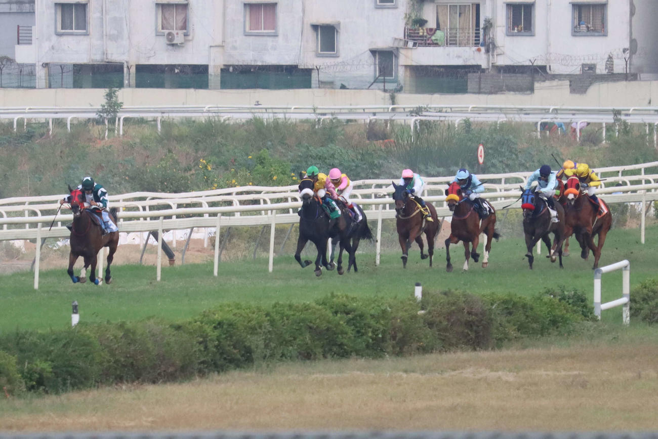 ハイデラバード競馬場ウインタートラックの約500メートルある直線の攻防。逃げたインディアンテンプル（左端）を追うデクラレーションオブウォー産駒のファラ（右端）