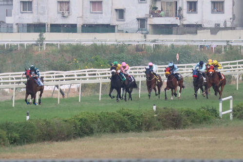 ハイデラバード競馬場ウインタートラックの約500メートルある直線の攻防。逃げたインディアンテンプル（左端）を追うデクラレーションオブウォー産駒のファラ（右端）