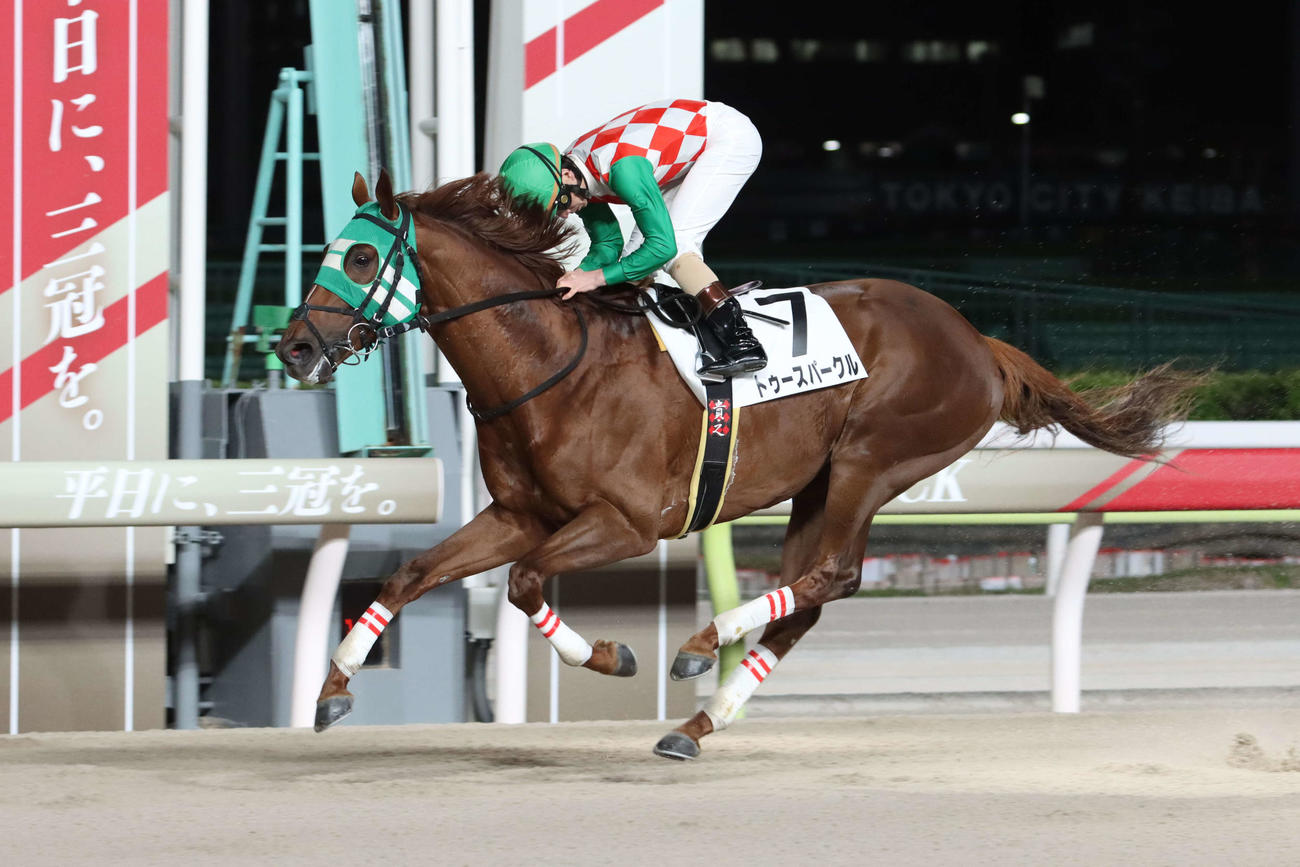 12日、大井12Rをトゥースパークルで制した大井の矢野貴之騎手は1開催で16勝を達成