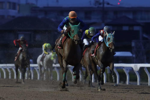 3月28日、外から鋭く伸びてティアラCを制したジゼルと森泰斗騎手（中央）