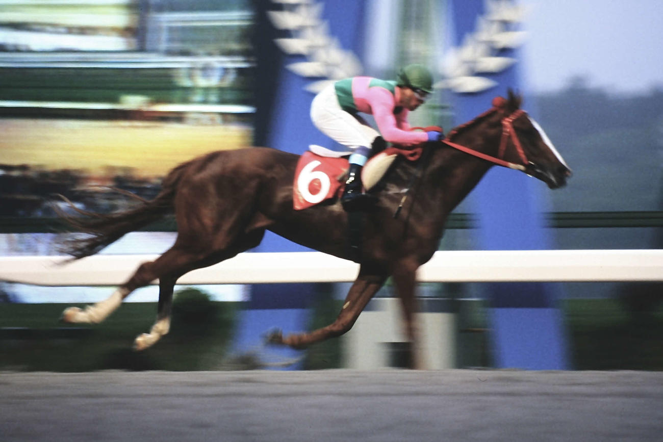 97年、2着に7馬身差の圧勝でダイヤモンドCを制したメイセイオペラ