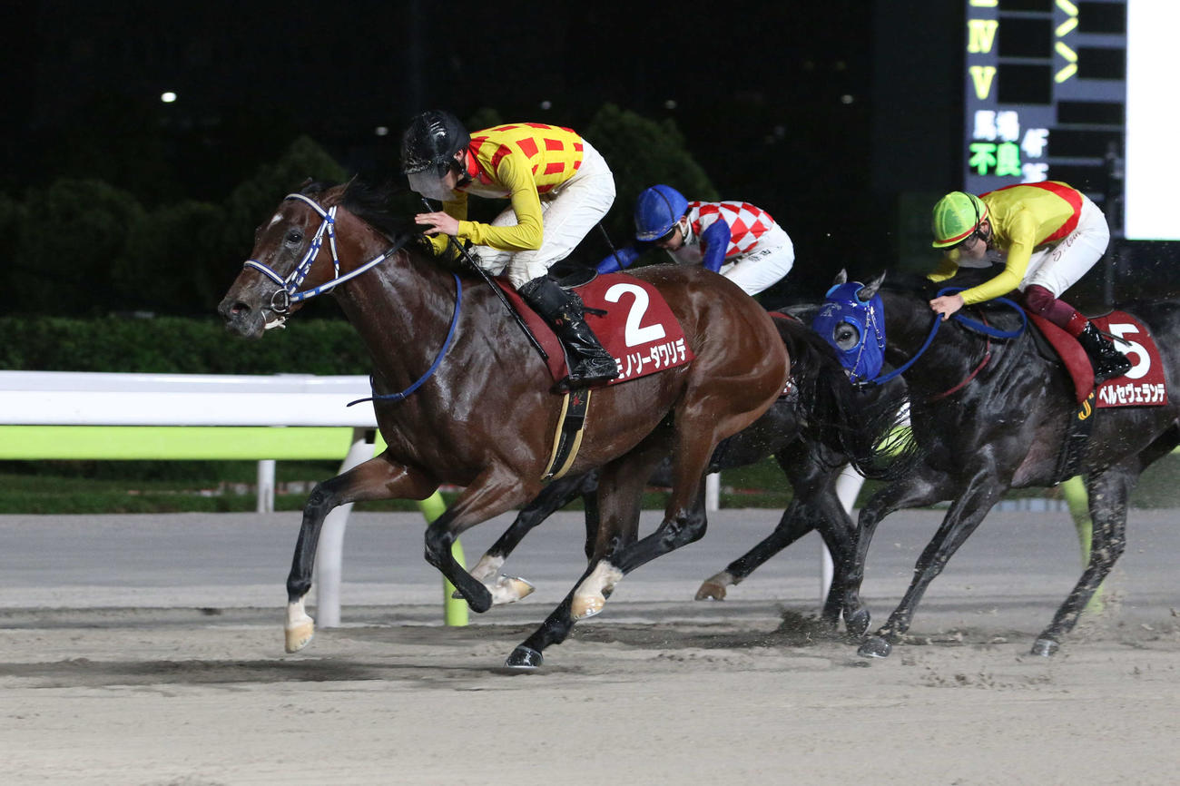 東京ダービーチャレンジを制したイモノソーダワリデと鷹見陸騎手（左）