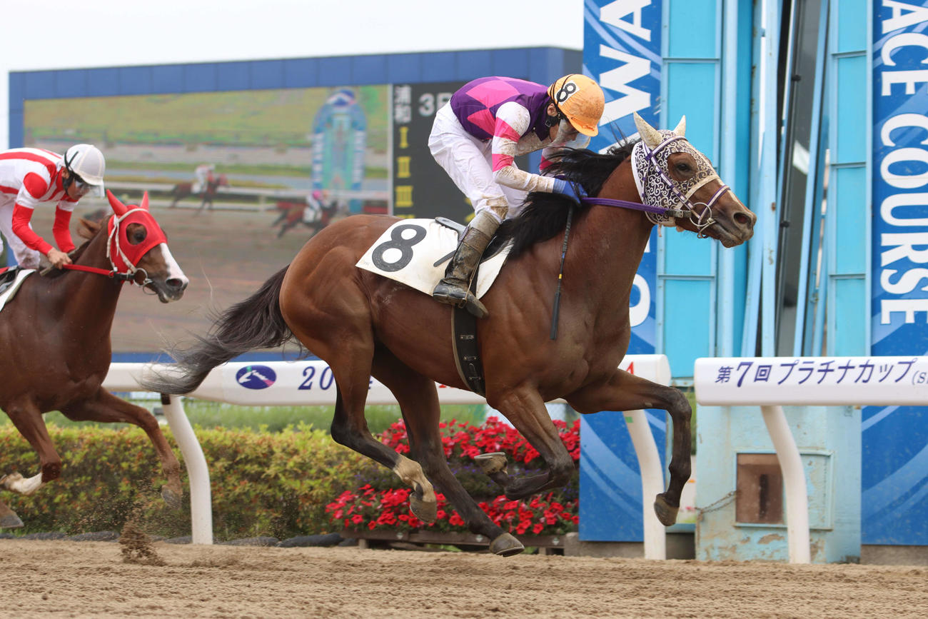 浦和3Rをポップコーンが勝ち、浦和の平山真希調教師は地方競馬通算500勝を達成