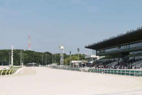 園田競馬場