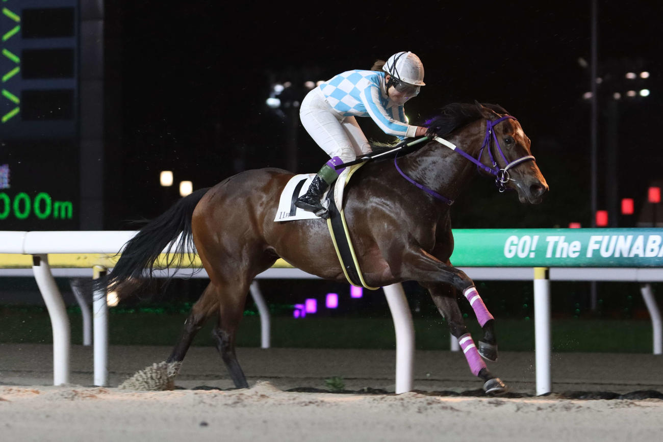 ドレミスプリントを制したマッドシェリーと神尾香澄騎手