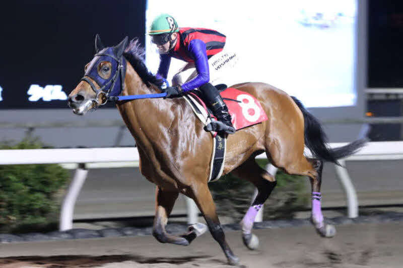 土佐有楽特別を制したシンメデージーと吉原騎手（提供・高知県競馬組合）