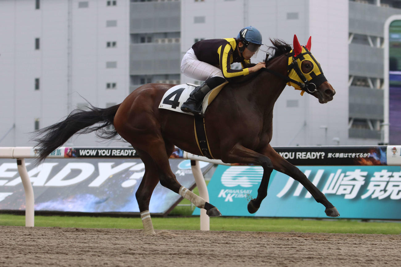 7月2日の川崎5R、シャイニングスター賞を制したグレアネオンライトと張田昂騎手
