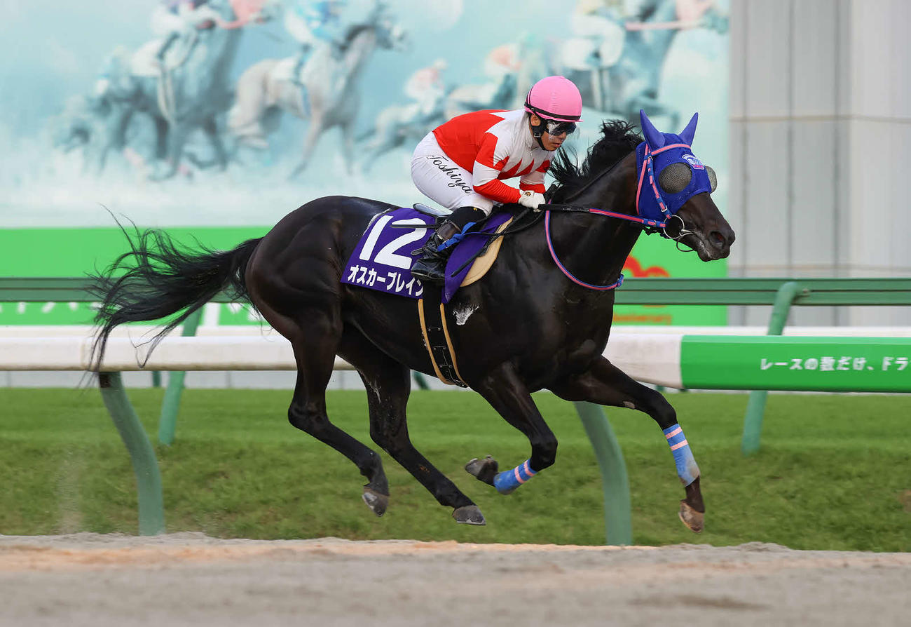 盛岡競馬のハヤテスプリントを制した北海道のオスカーブレインと岩手の山本聡哉騎手（岩手県競馬組合提供）