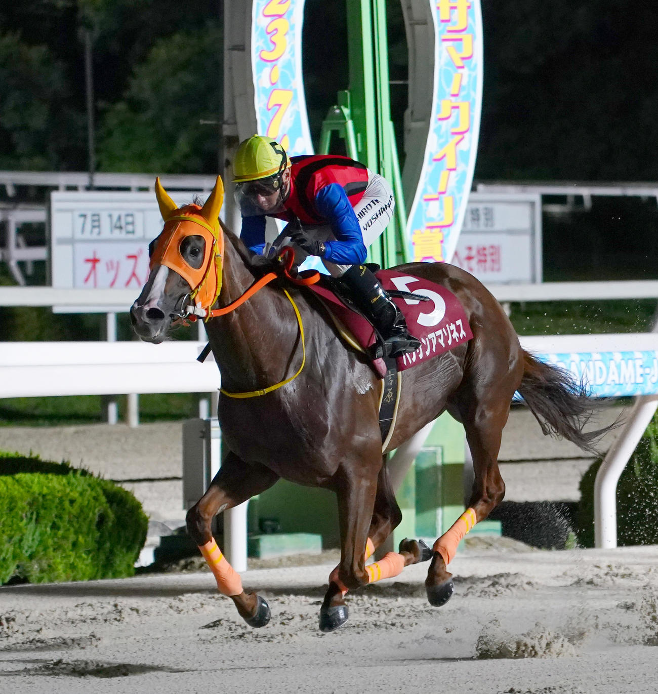 金沢のハクサンアマゾネスが連覇を目指す