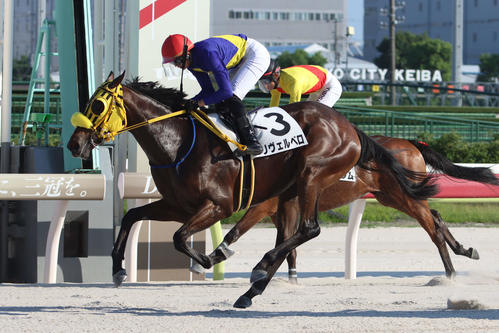 2日、フレッシュスター特別でリヴェルベロが初勝利