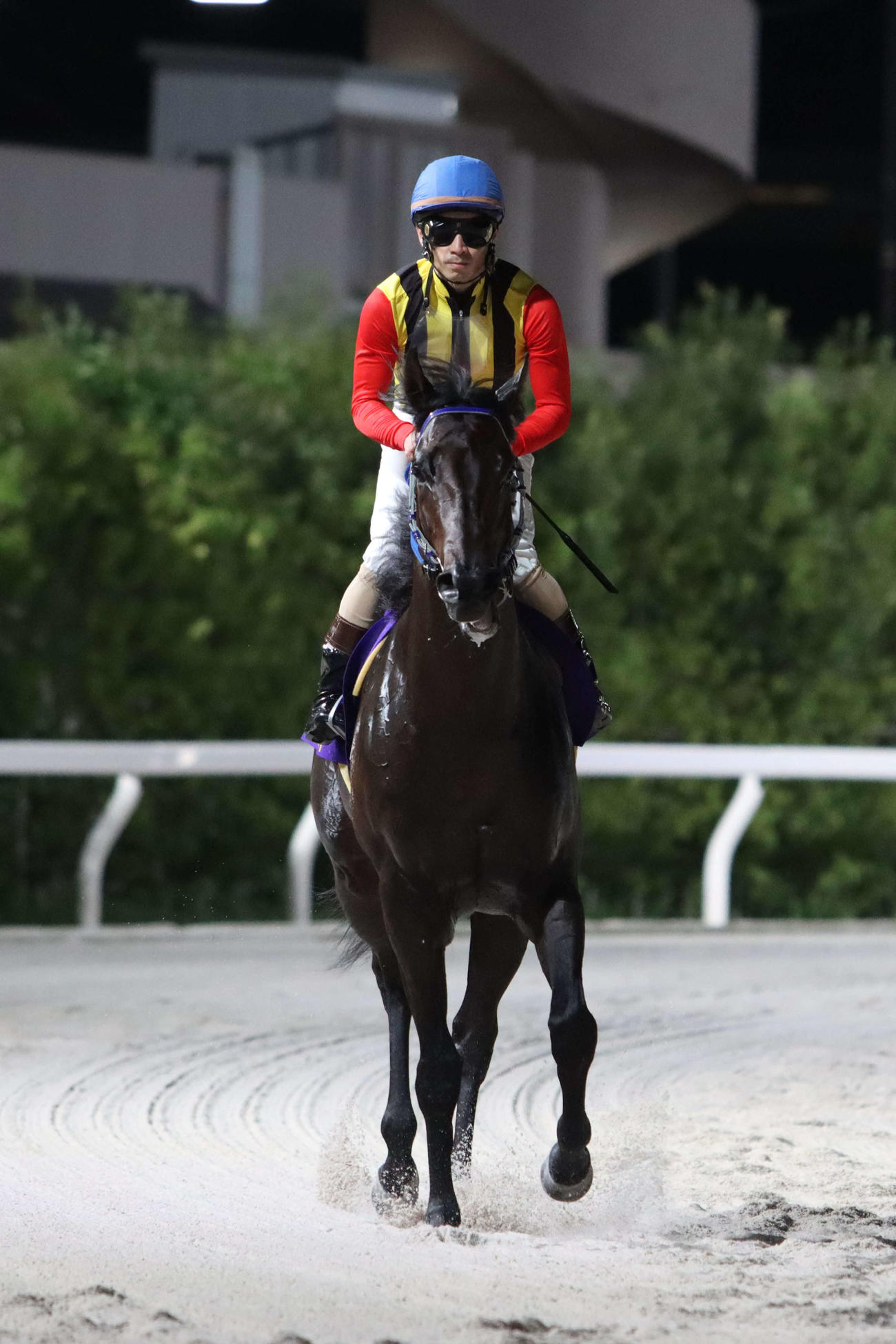 ティントレットと矢野貴之騎手