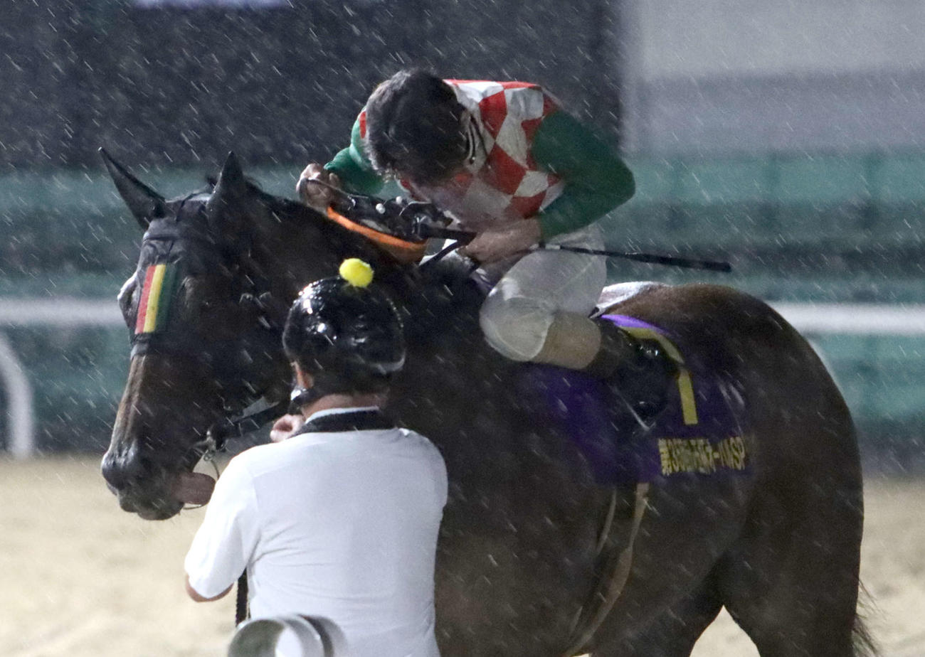 オーバルスプリントを制して引き揚げてきたスマイルウィとヘルメットを取り厩舎スタッフに頭を下げる矢野騎手