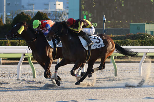 ユアヒストリー（右手前、2024年2月撮影）