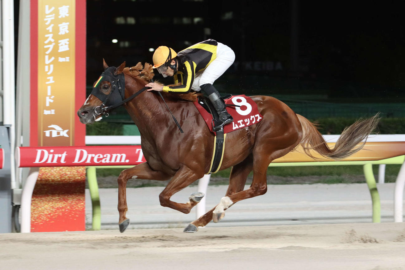 マイルグランプリトライアルを圧勝したムエックスと張田昂騎手