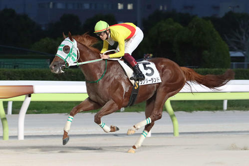 10月3日、直線で差し切り摺鉢山賞を制したワンダーランドと笹川騎手