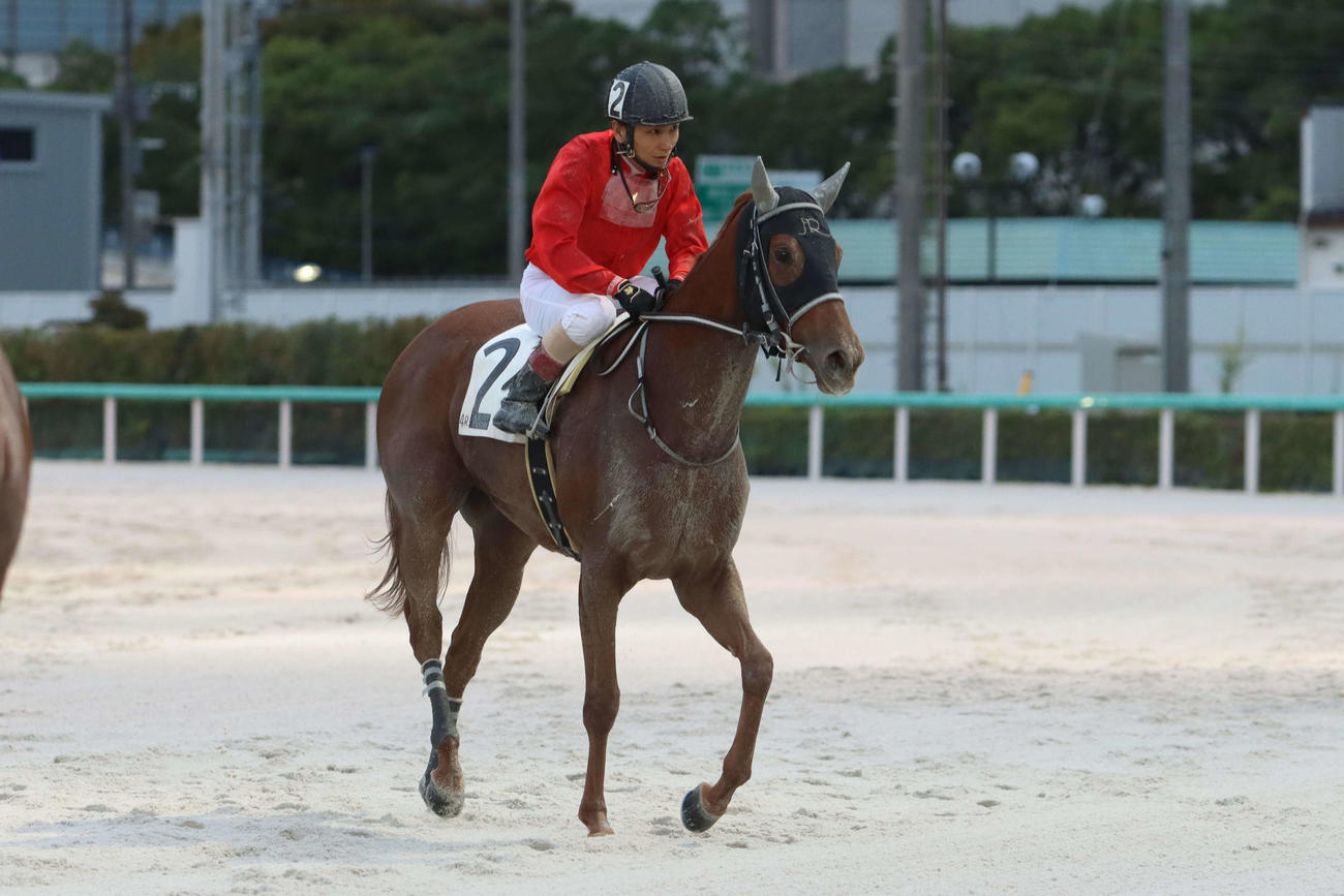 ラブミールイスと山崎誠士騎手