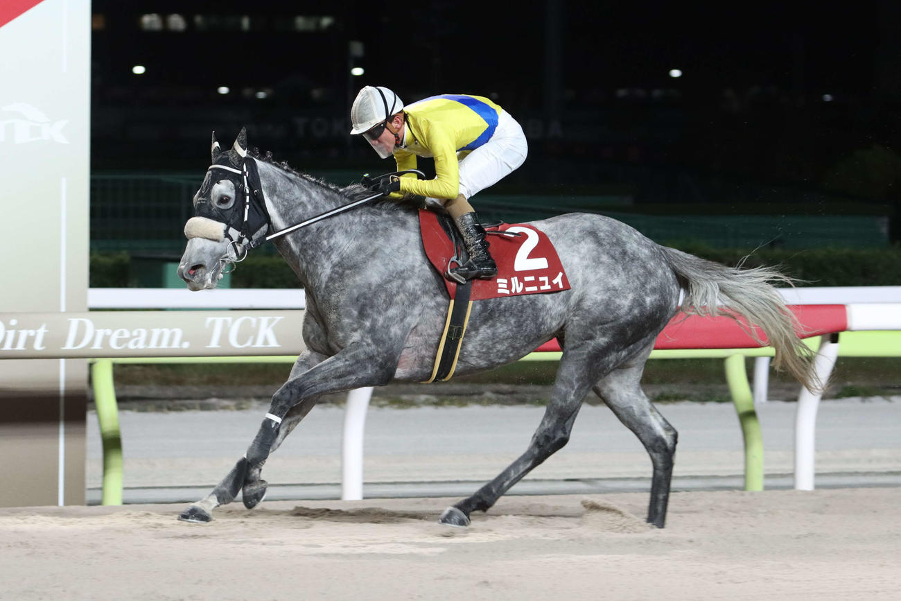 直線で抜け出し東京シンデレラマイルトライアルを制したミルニュイと本田正重騎手