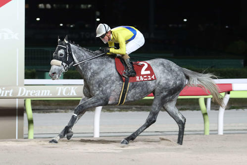 直線で抜け出し東京シンデレラマイルトライアルを制したミルニュイと本田正重騎手