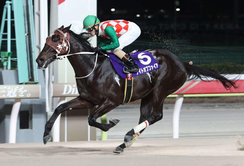 直線で抜け出しセラフィナイト賞を制したナイトオブファイアと矢野貴之騎手