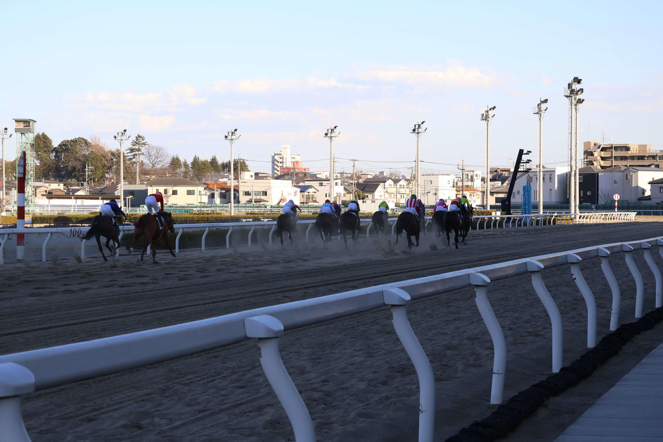 1300メートルのハロン棒（左端）手前から見た1コーナーまでの浦和競馬場の直線
