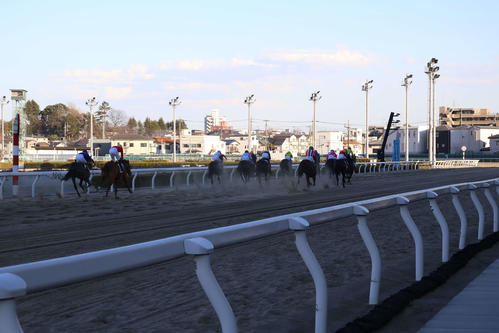 1300メートルのハロン棒（左端）手前から見た1コーナーまでの浦和競馬場の直線