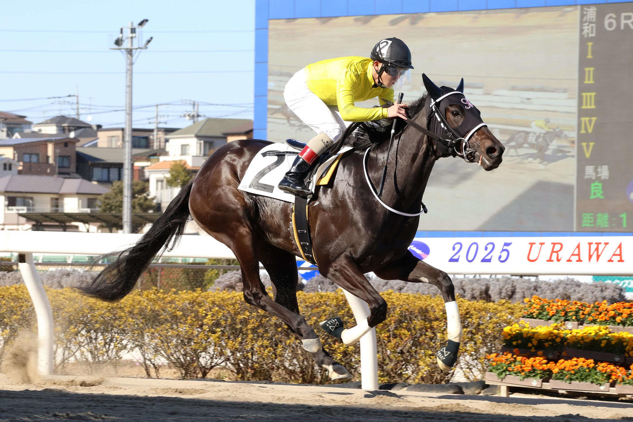 若盛特別を制したイナダヒメと町田直希騎手