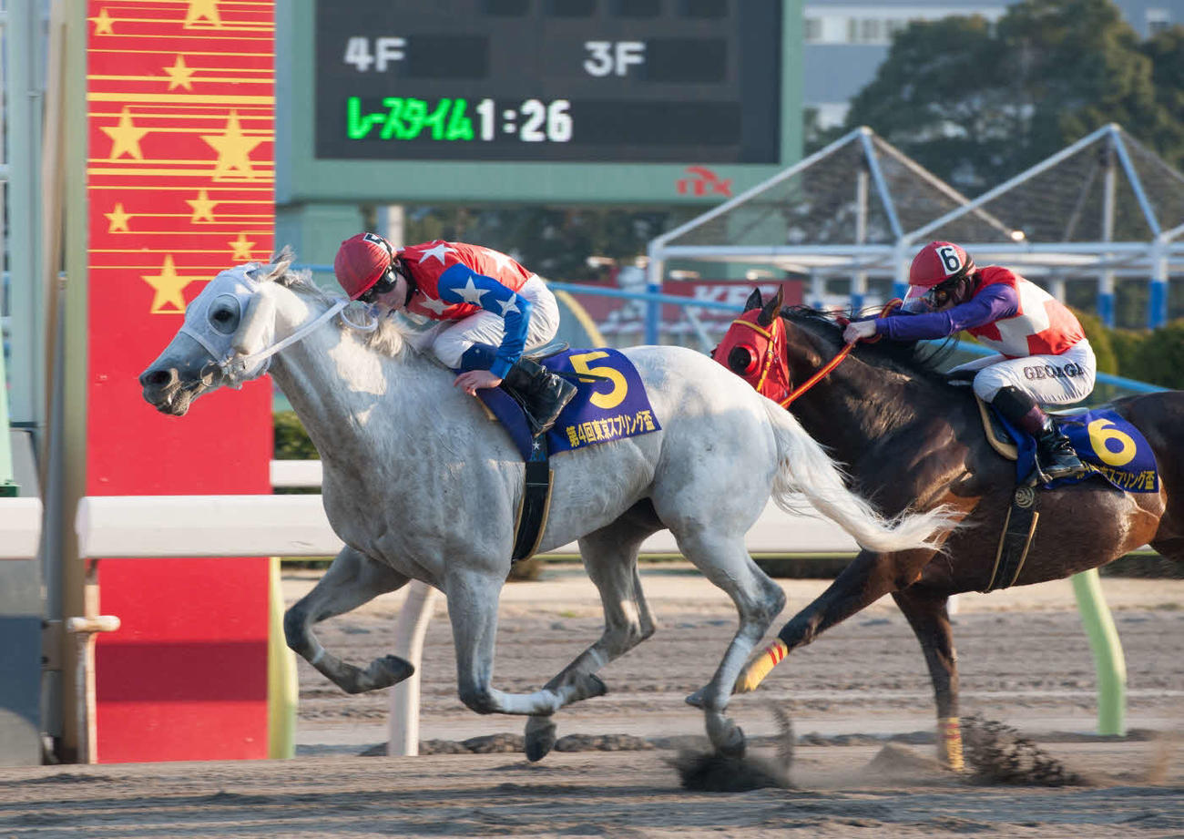 13年、御神本騎手を背に東京スプリング盃4連覇を決めたフジノウェーブ