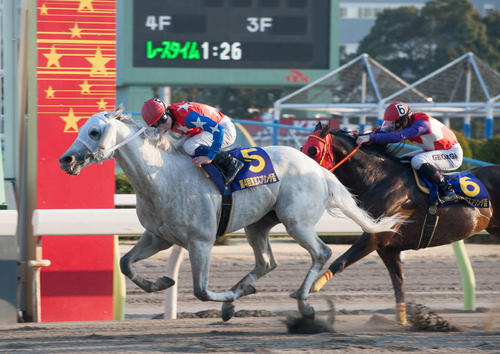 13年、御神本騎手を背に東京スプリング盃4連覇を決めたフジノウェーブ