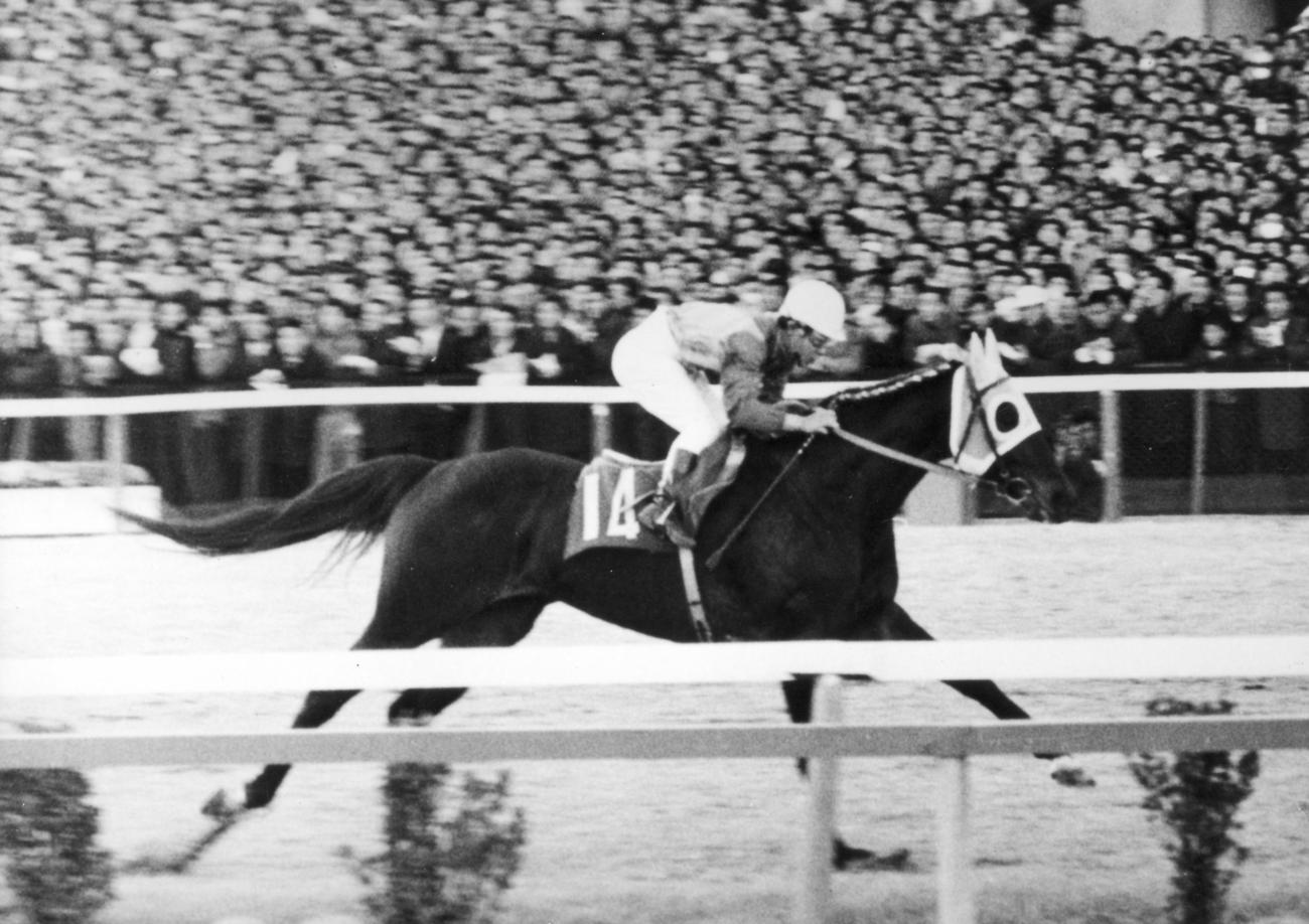 1967年の有馬記念を制したカブトシロー