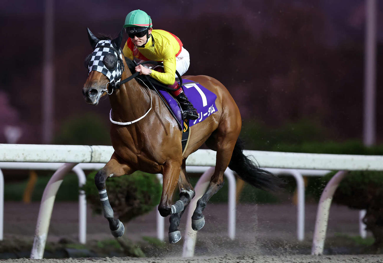 4月、留守杯日高賞を制したフリーダムと笹川騎手（岩手県競馬組合提供）