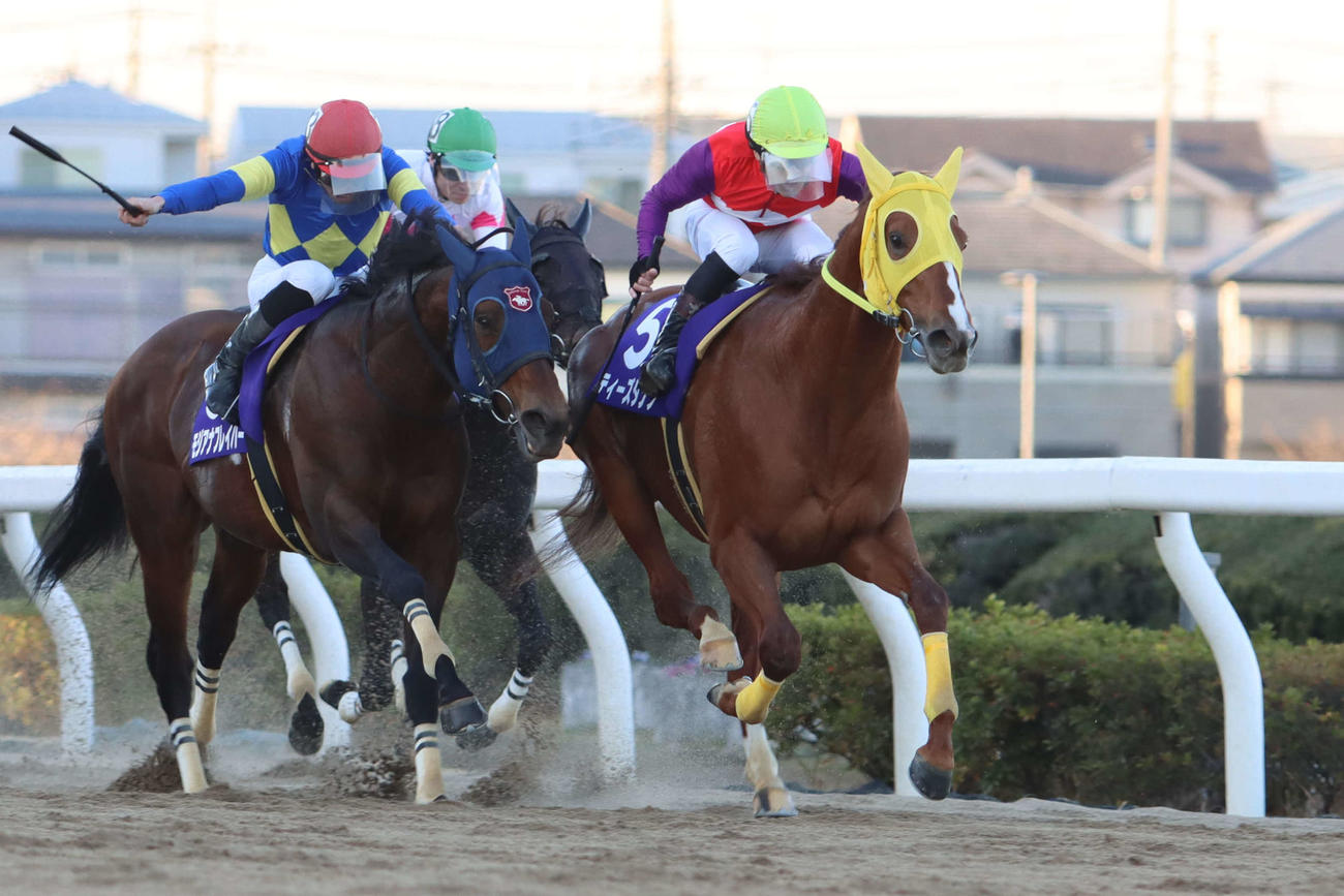 S1格上げ初年度のゴールドCを制したティーズダンク（右）（2021年12月撮影）