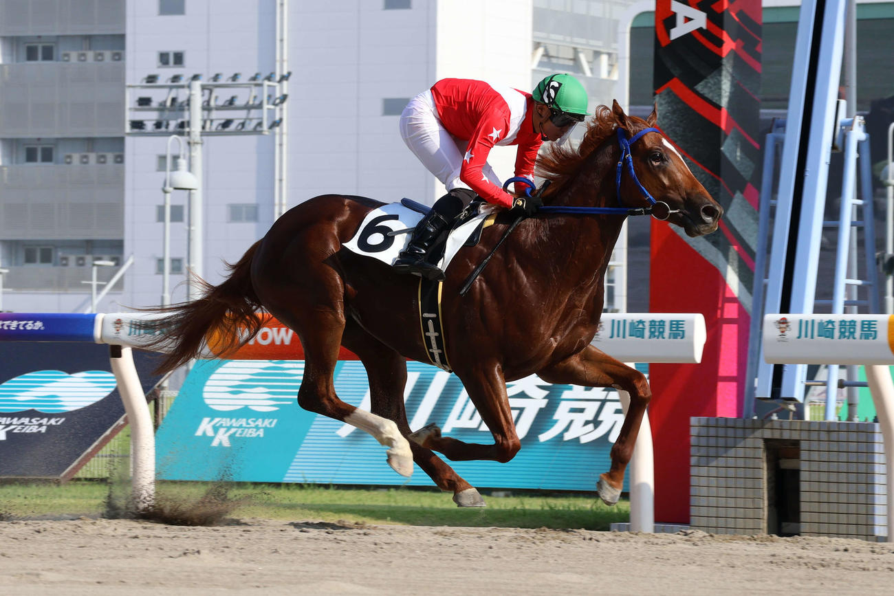 シャイニングスター賞を圧勝したスマトラフレイバー
